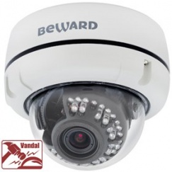IP камера B1510DV