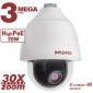 IP камера BD143P30