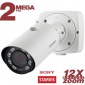 IP камера NK54140R10