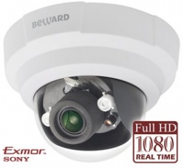 IP камера NK55002D6