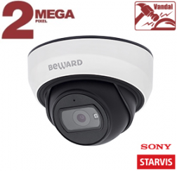 IP камера SV2005DBS