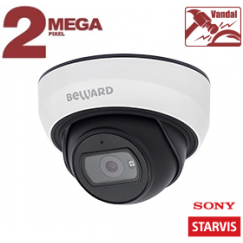 IP камера SV2005DBS