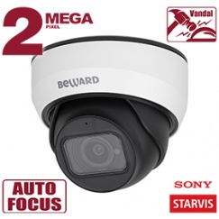 IP камера SV2012DZ