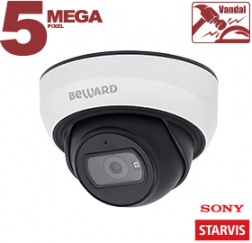 IP камера SV3210DBS