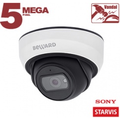 IP камера SV3210DBS
