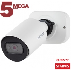 IP камера SV3210RCB
