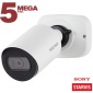 IP камера SV3210RCB