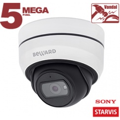 IP камера SV3212DB