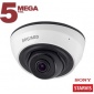 IP камера SV3212DR
