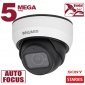 IP камера SV3212DZ