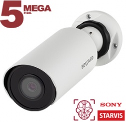 IP камера SV3218R2