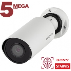 IP камера SV3218R2