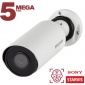 IP камера SV3218R2