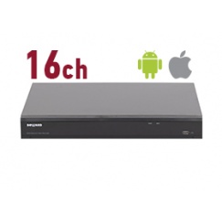IP видеорегистратор RK2216